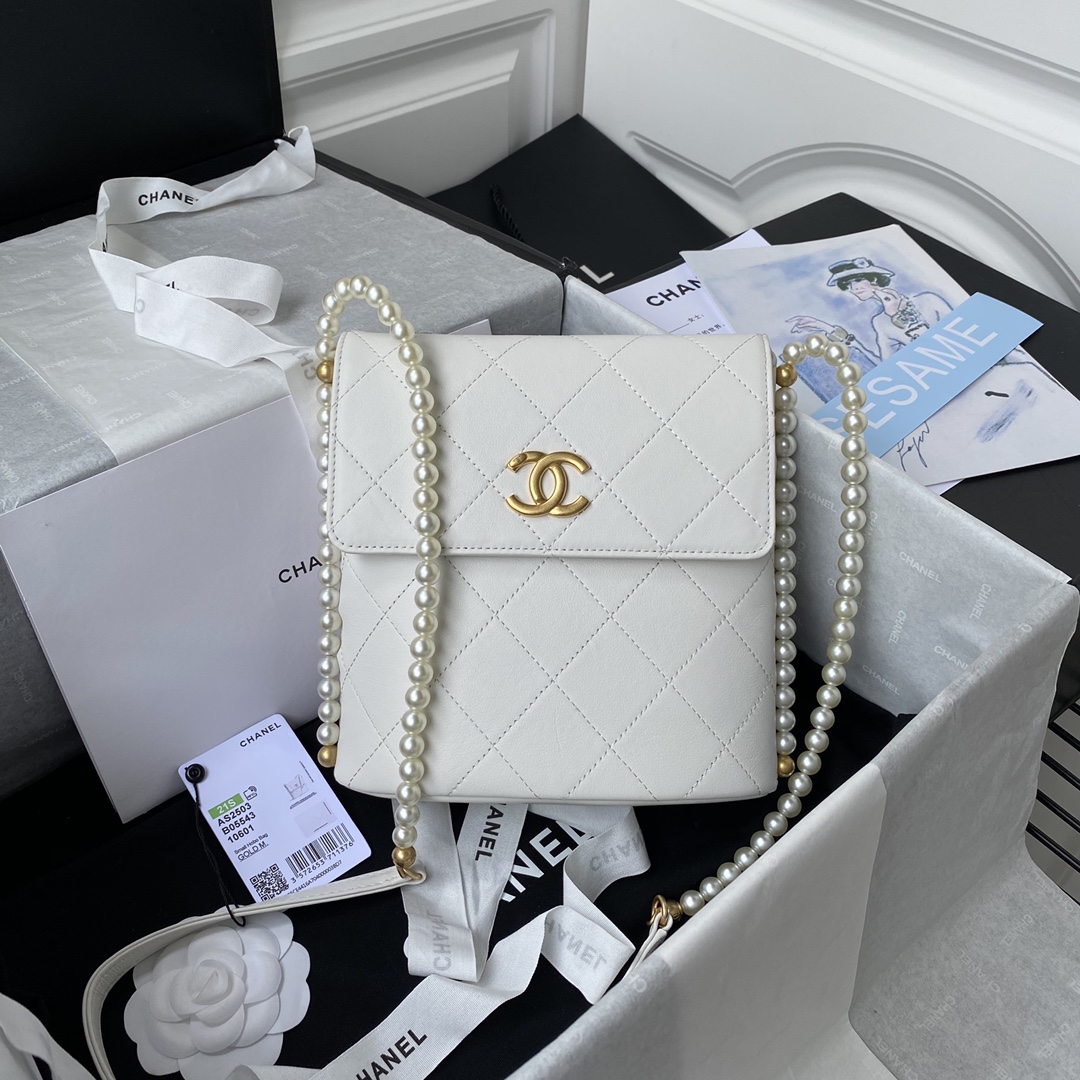 1chanel Small Hobo Bag white